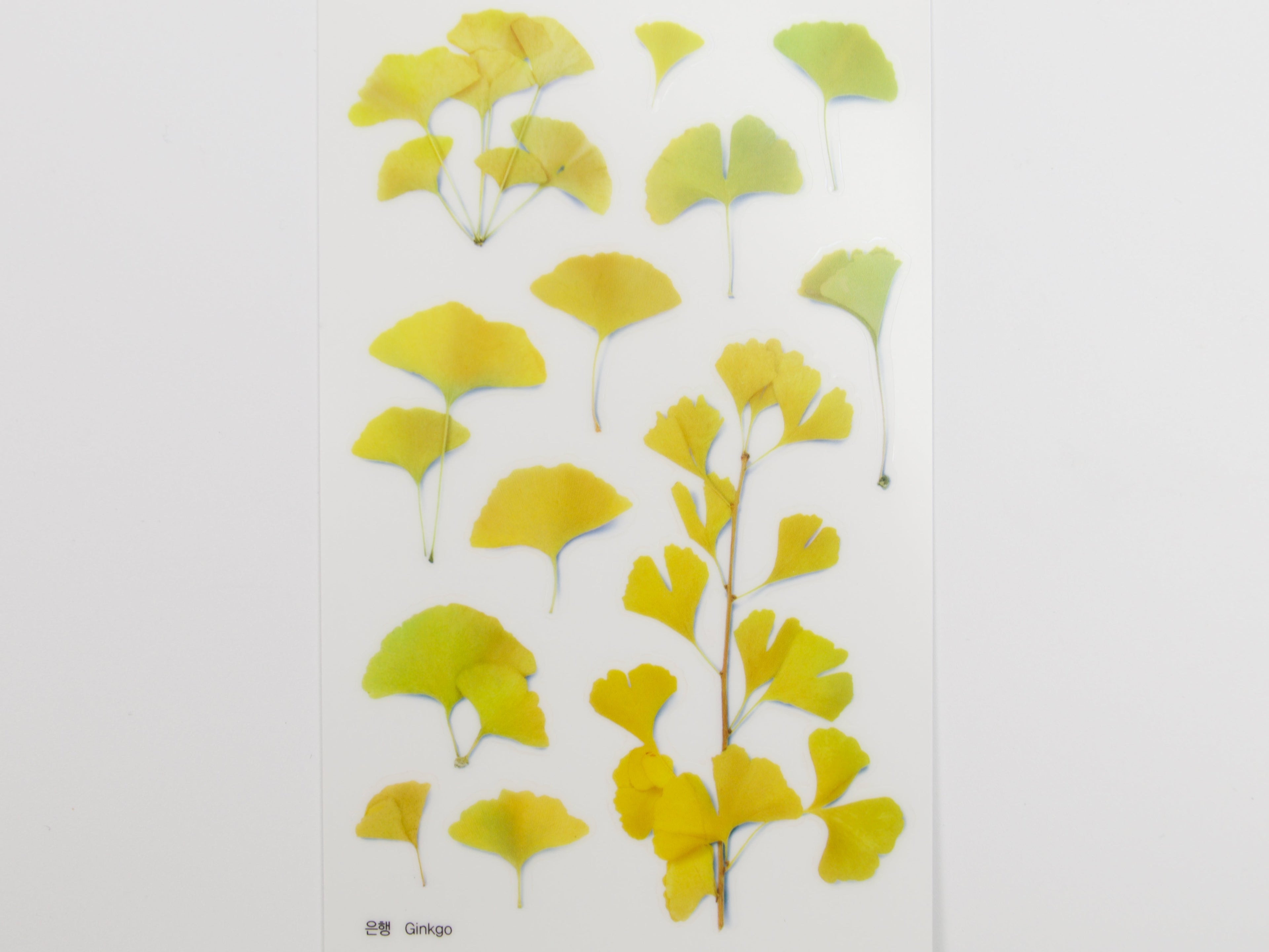 Appree Pressed Flower Stickers