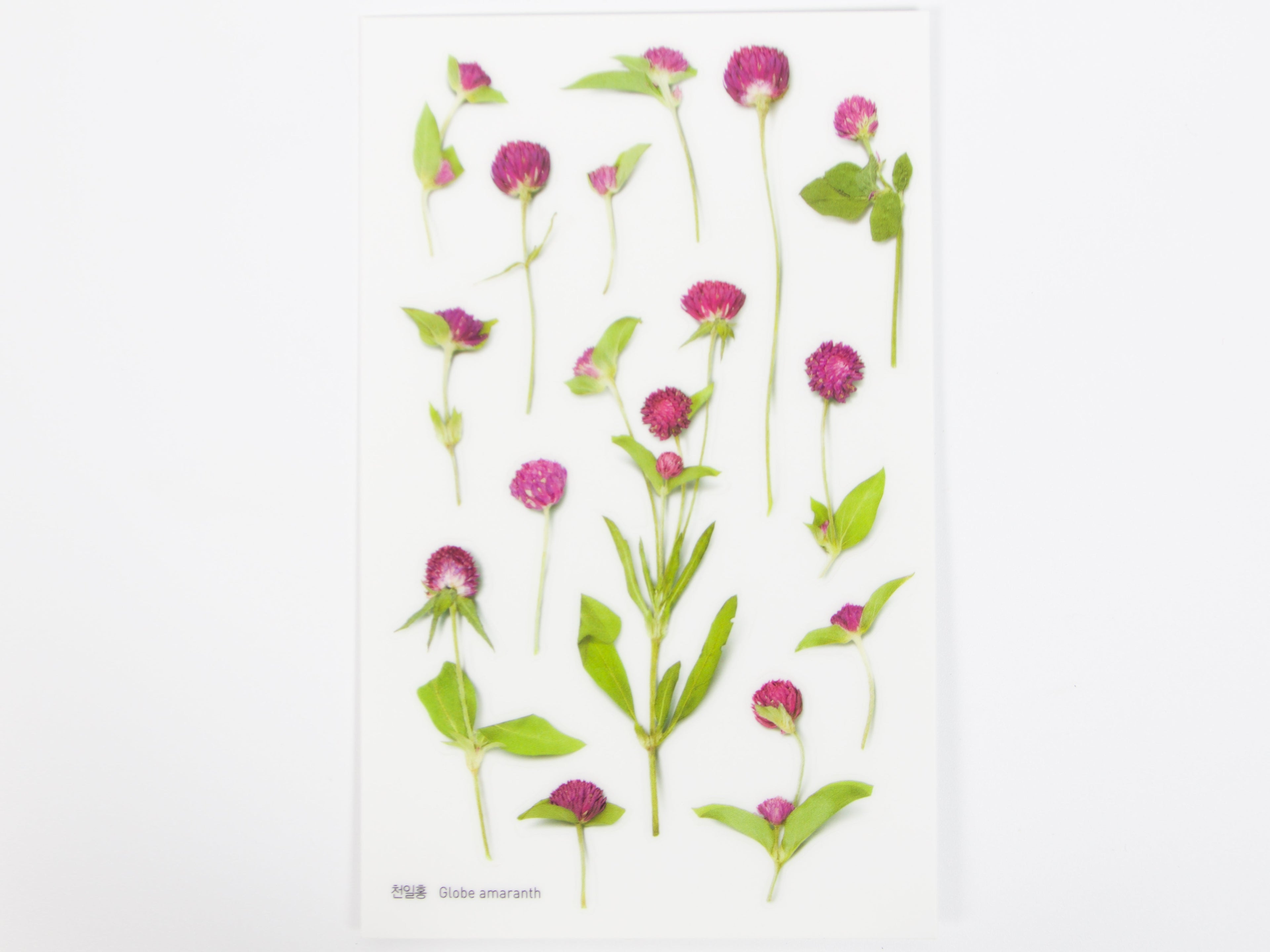 Appree Pressed Flower Stickers