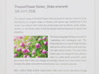 Appree Pressed Flower Stickers