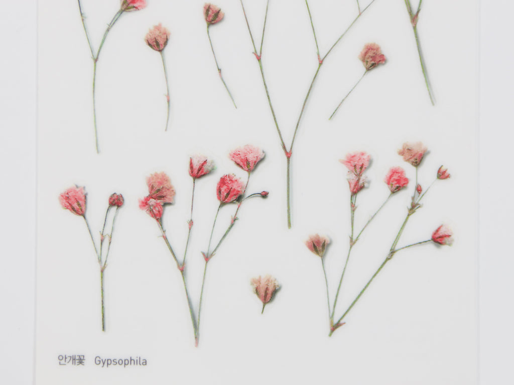 Appree Pressed Flower Stickers