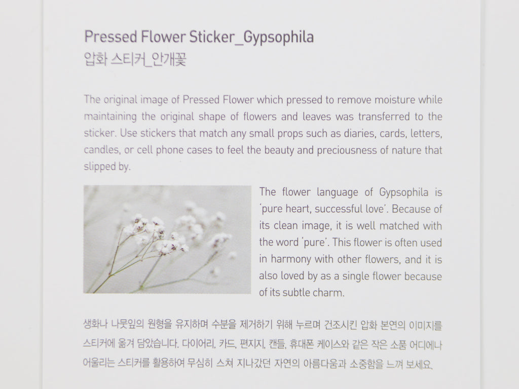 Appree Pressed Flower Stickers