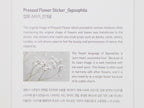 Appree Pressed Flower Stickers