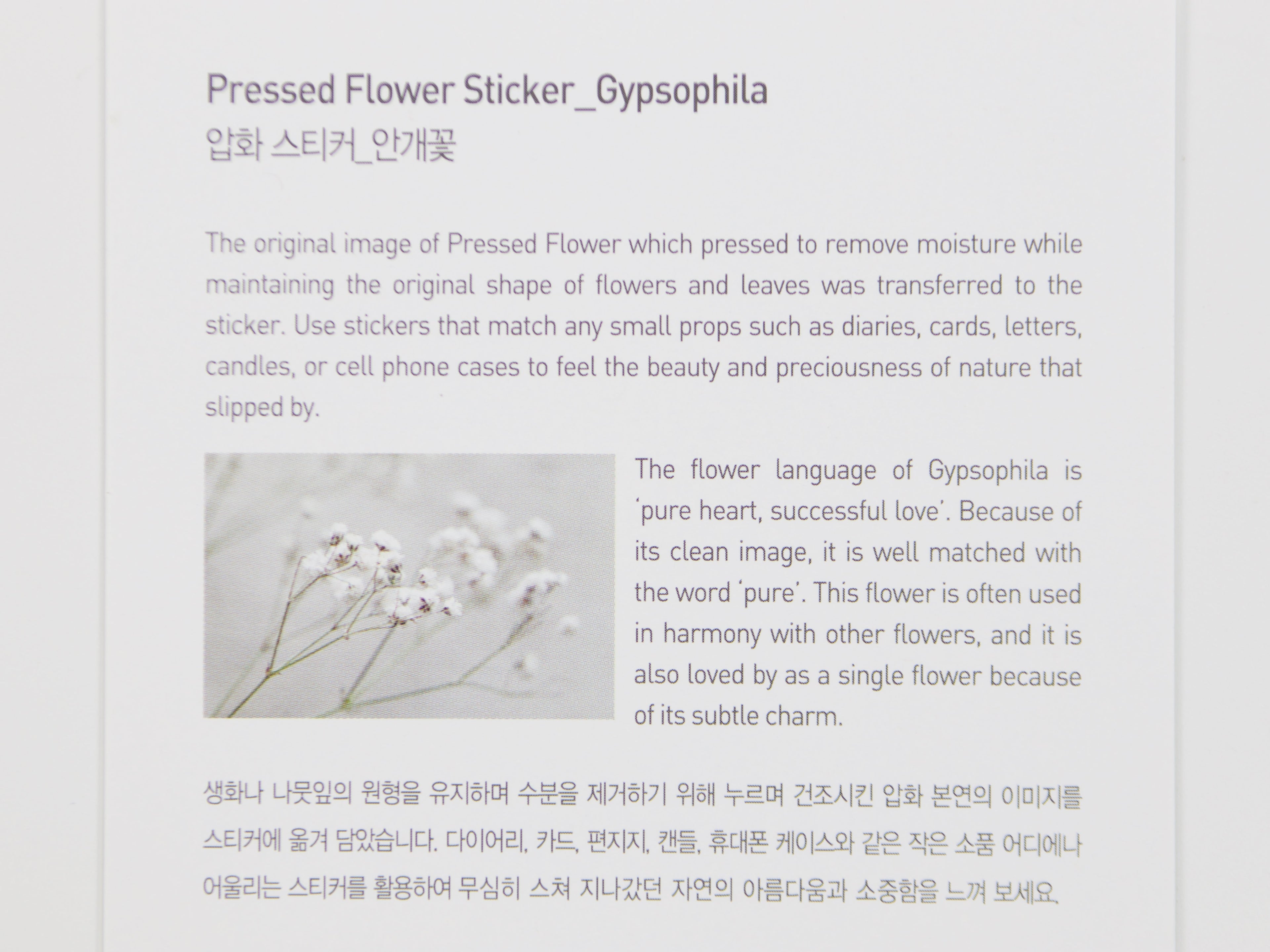 Appree Pressed Flower Stickers