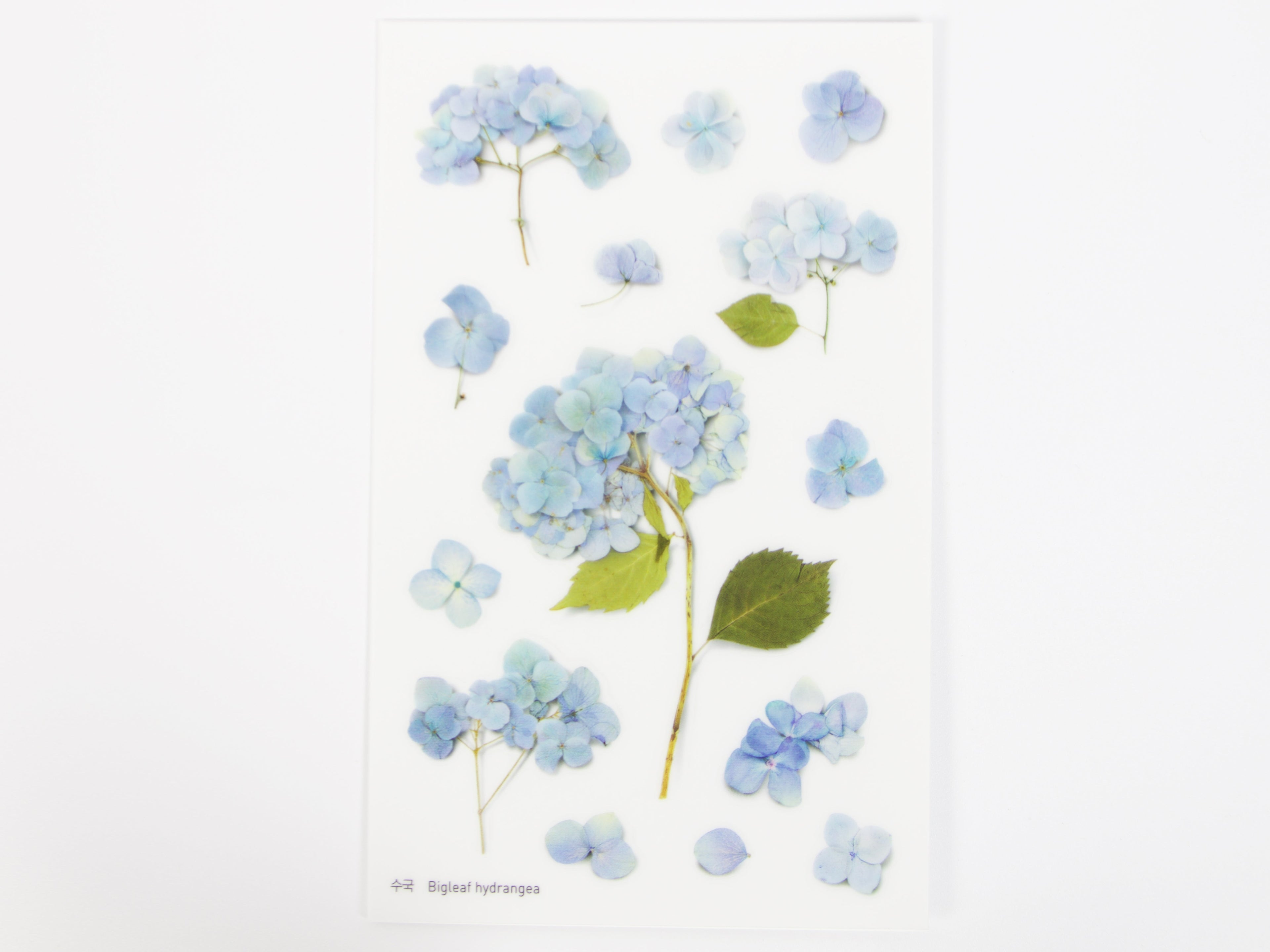 Appree Pressed Flower Stickers