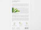 Appree Pressed Flower Stickers