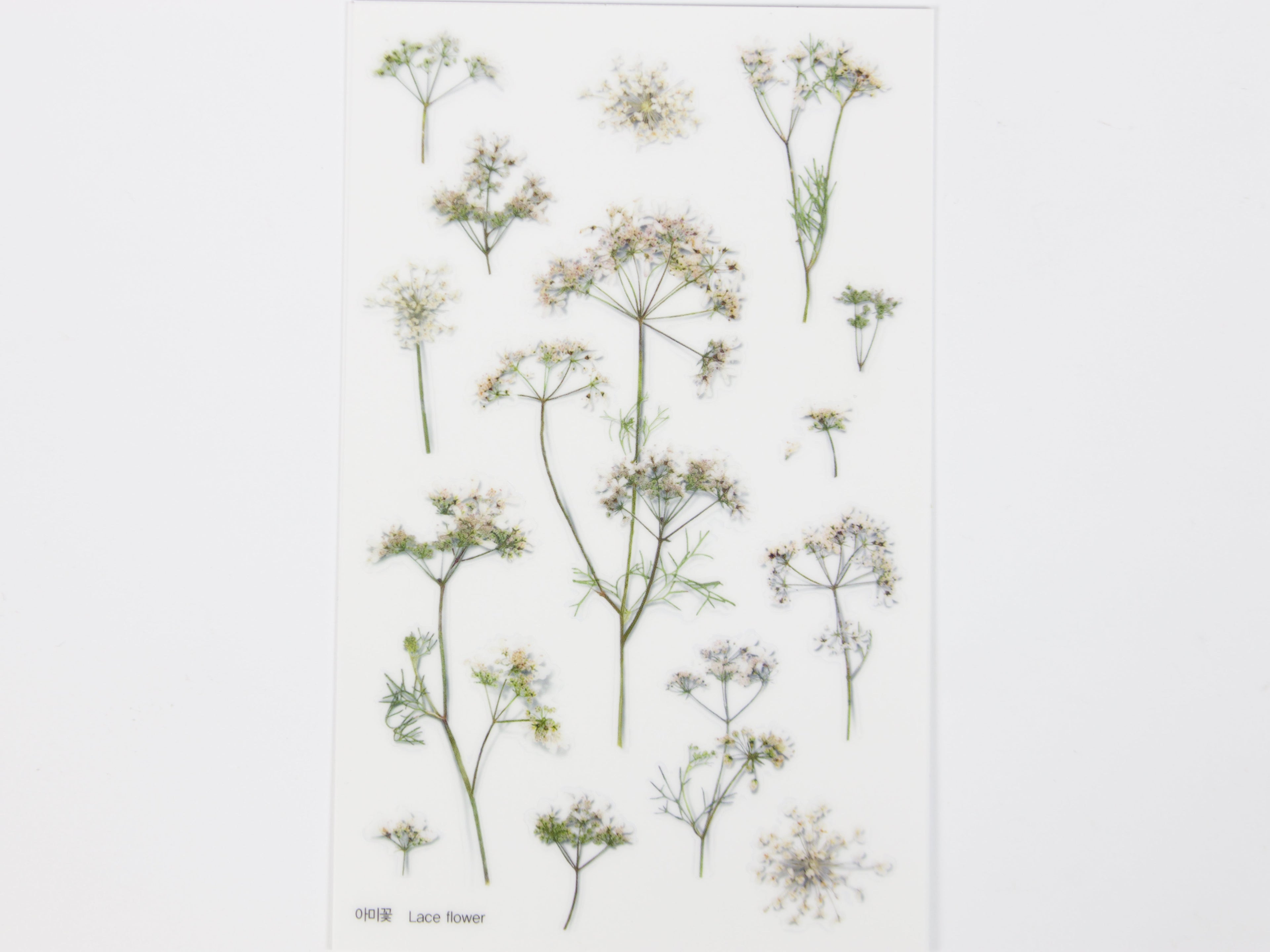 Appree Pressed Flower Stickers
