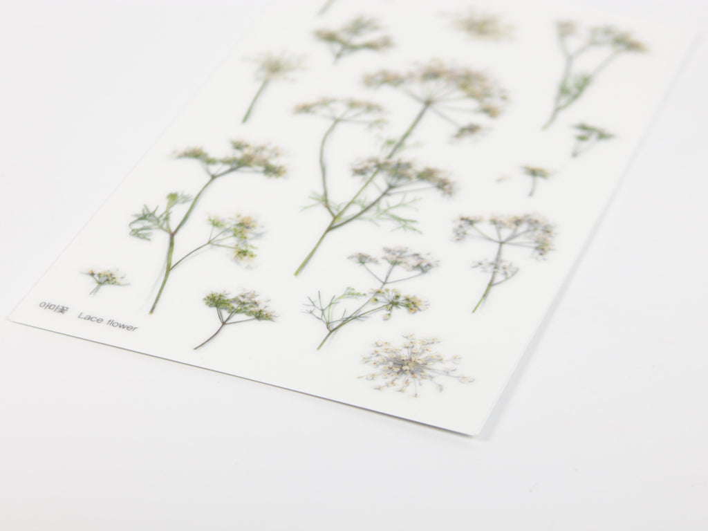 Appree Pressed Flower Stickers