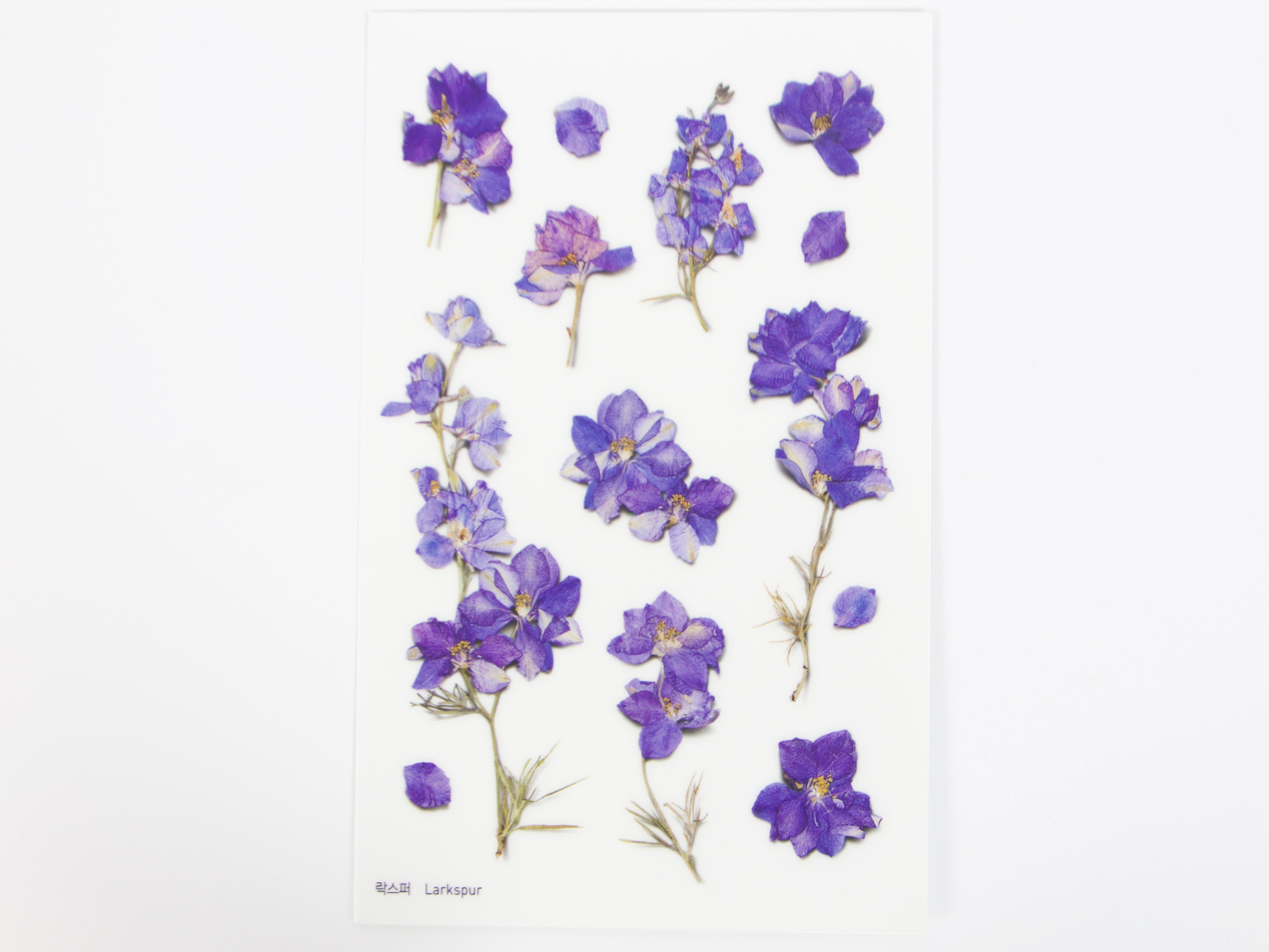 Appree Pressed Flower Stickers