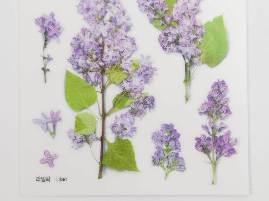 Appree Pressed Flower Stickers