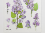 Appree Pressed Flower Stickers