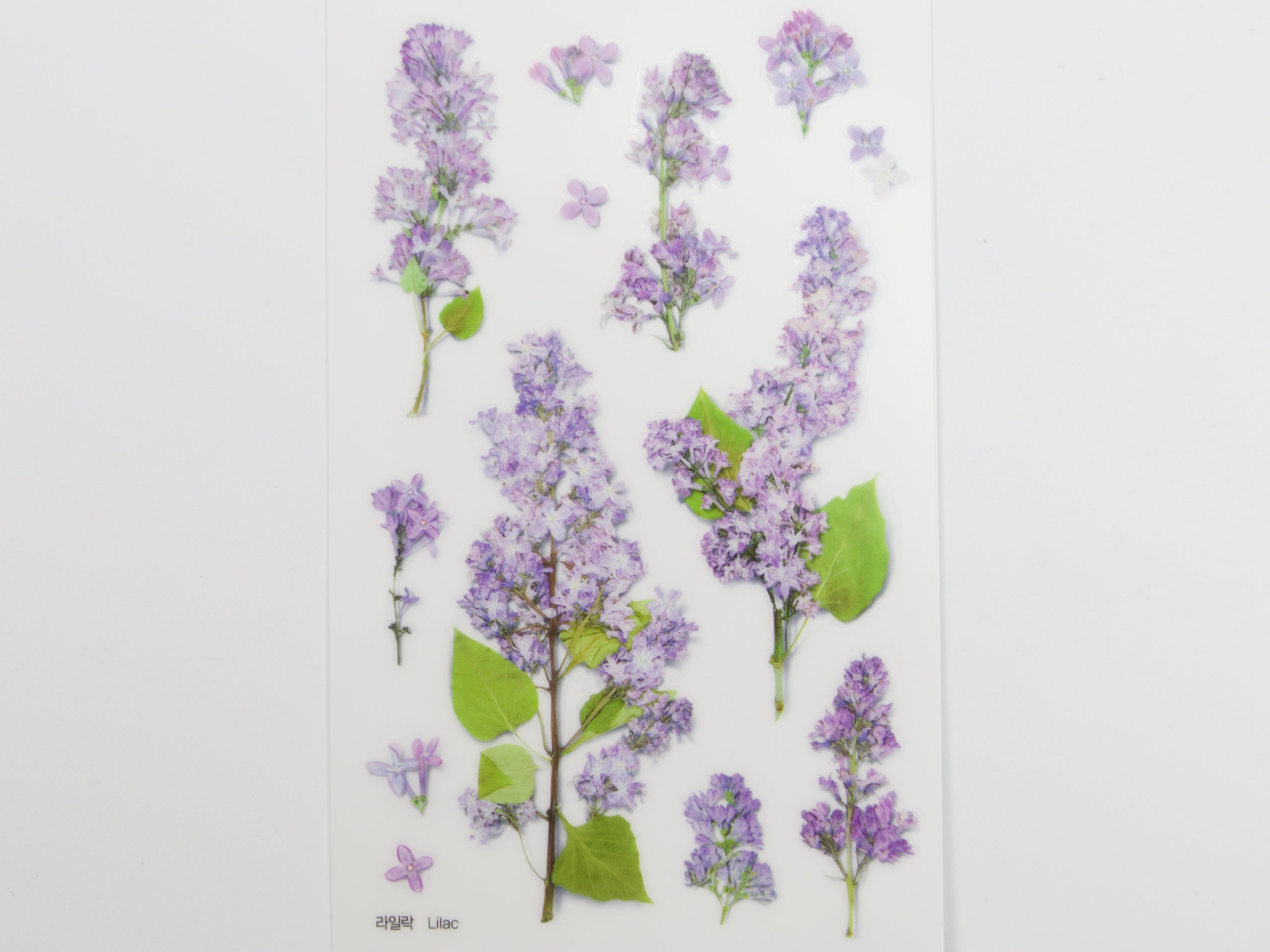 Appree Pressed Flower Stickers