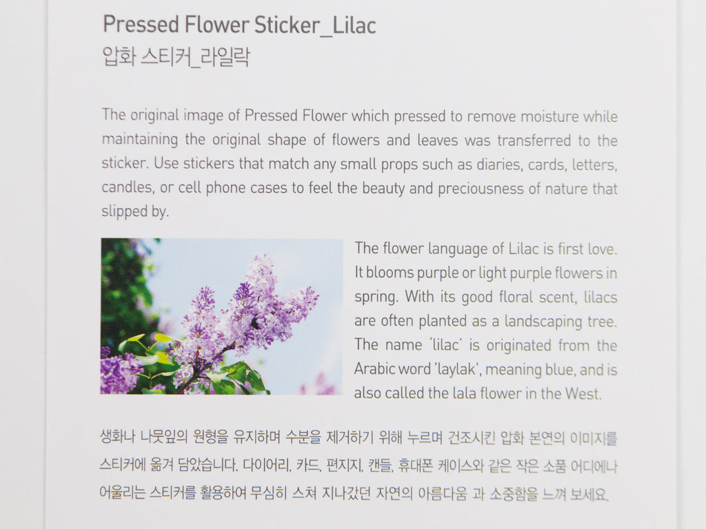 Appree Pressed Flower Stickers