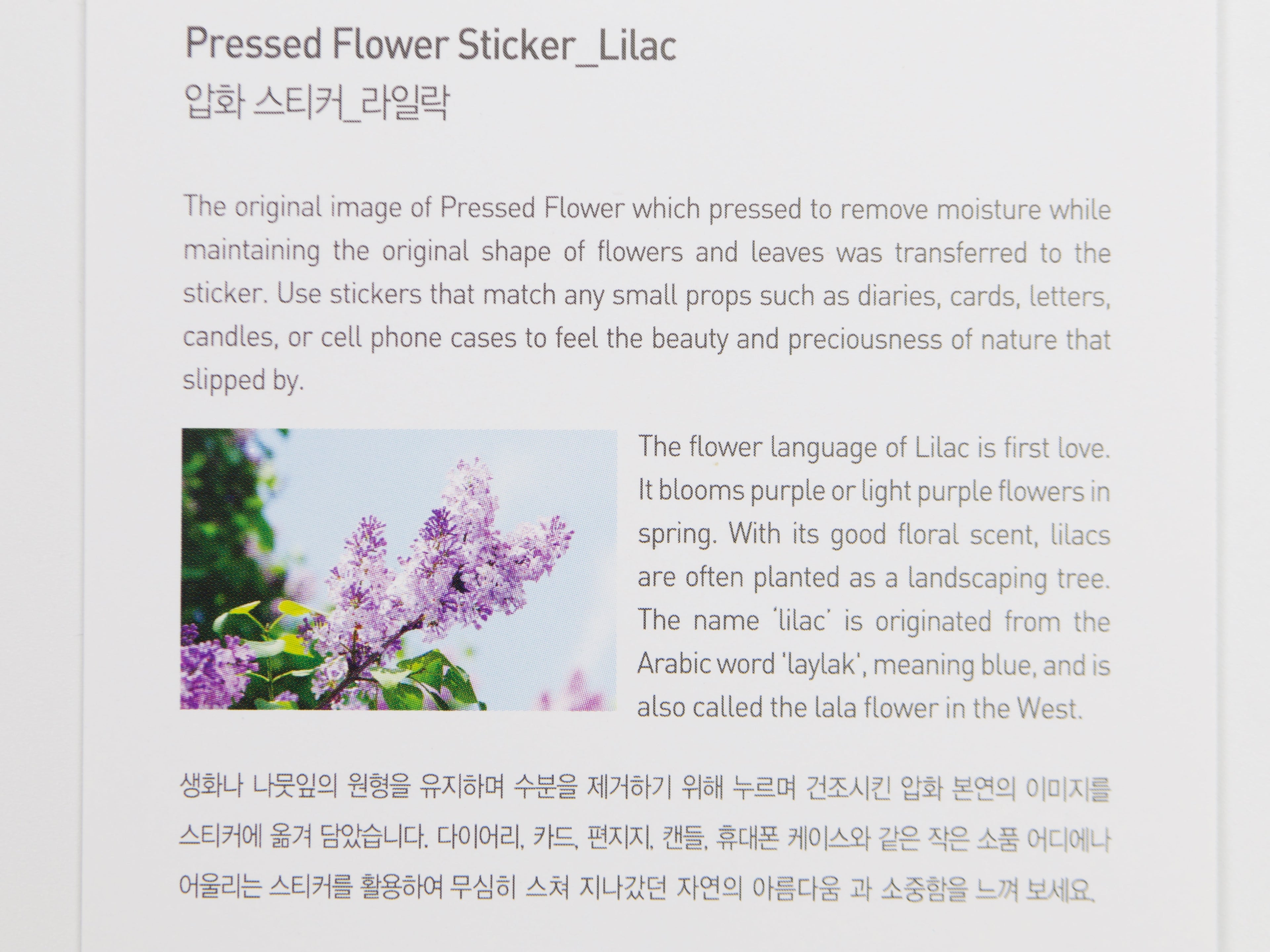 Appree Pressed Flower Stickers
