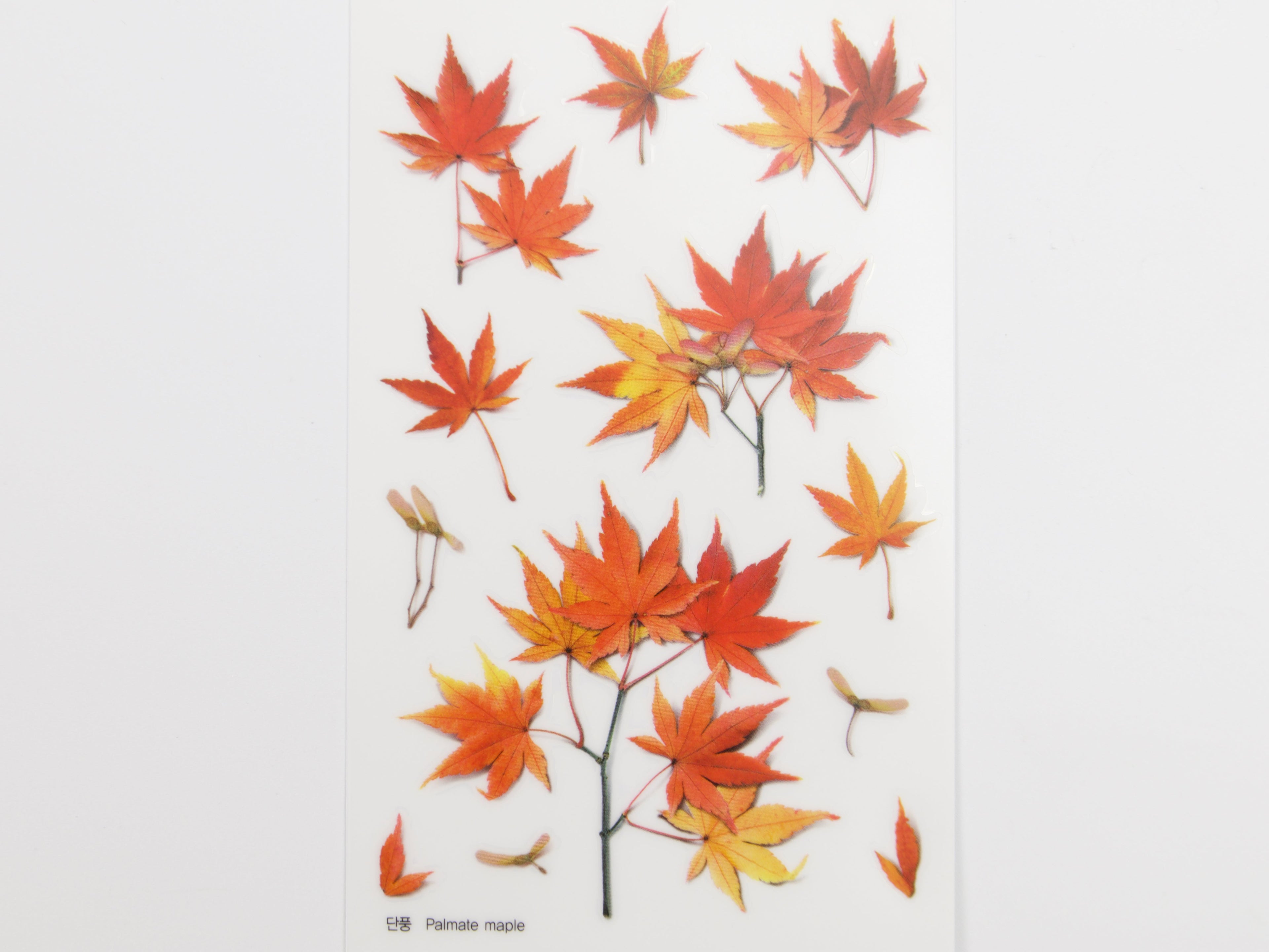 Appree Pressed Flower Stickers