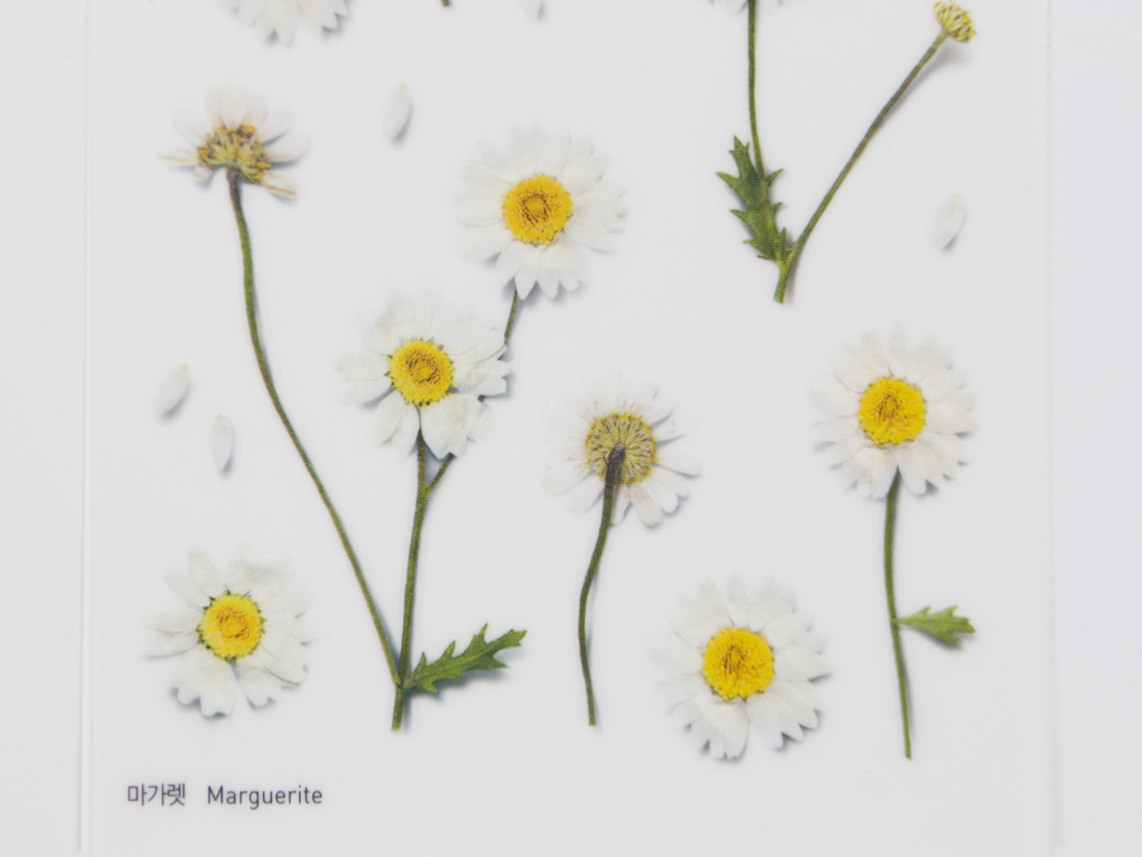 Appree Pressed Flower Stickers