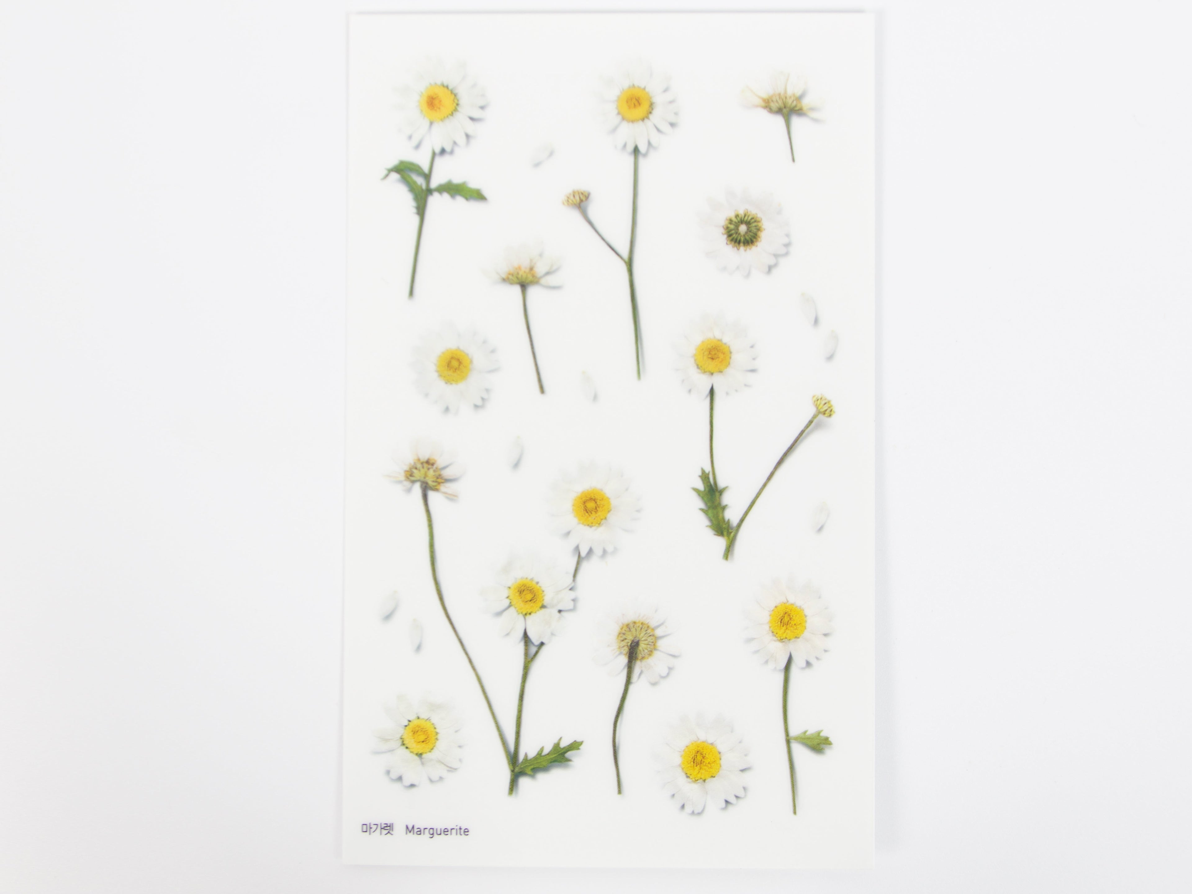 Appree Pressed Flower Stickers
