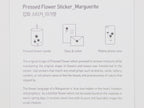 Appree Pressed Flower Stickers