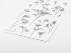Appree Pressed Flower Stickers
