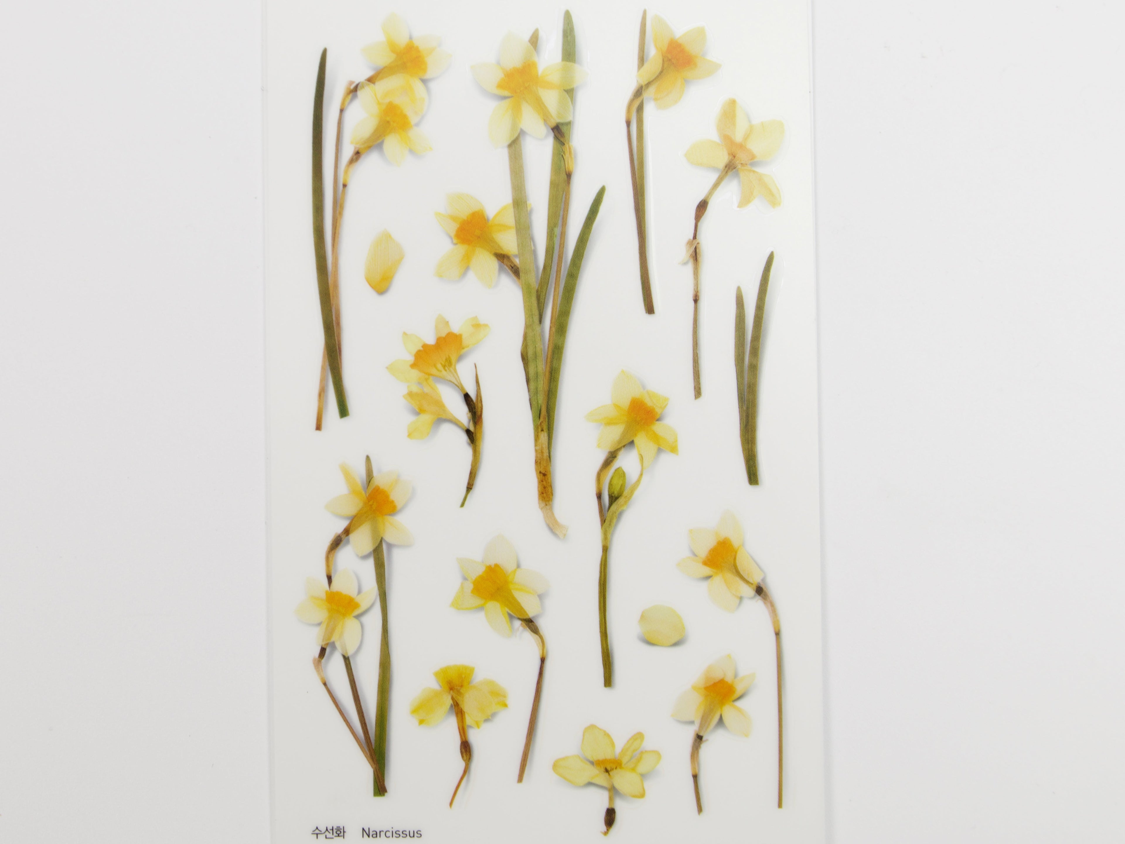 Appree Pressed Flower Stickers
