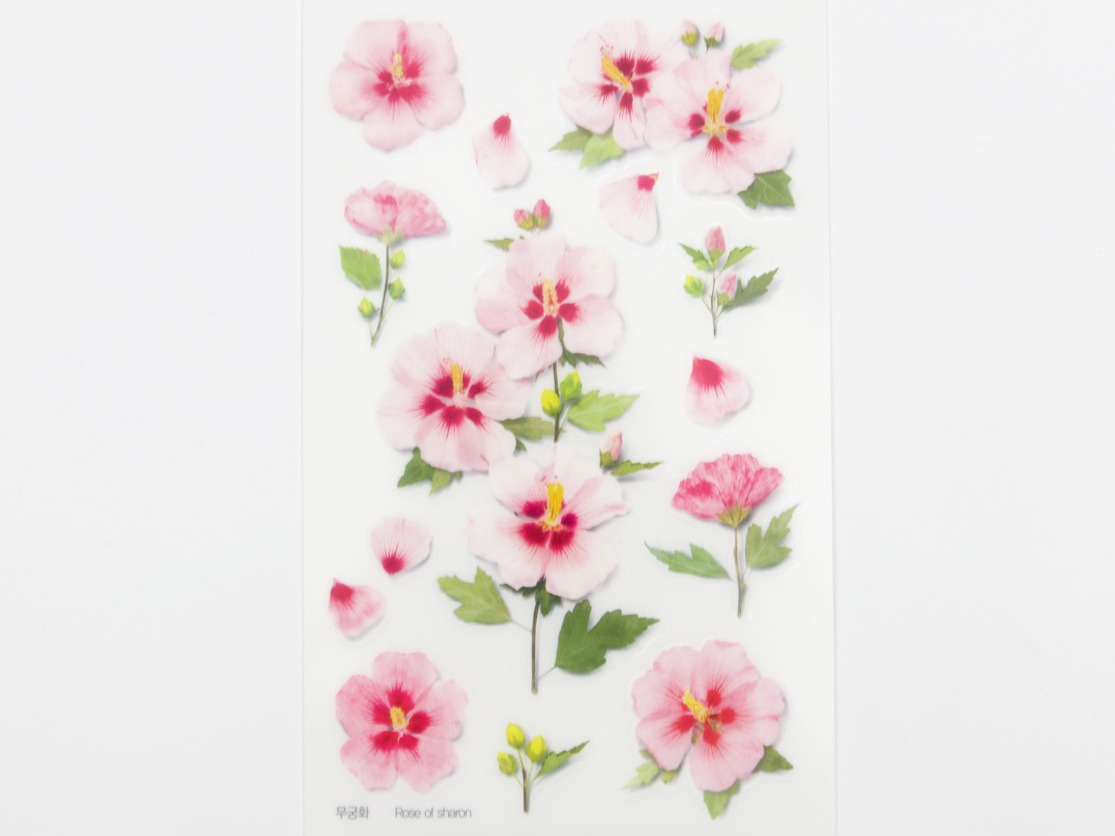 Appree Pressed Flower Stickers