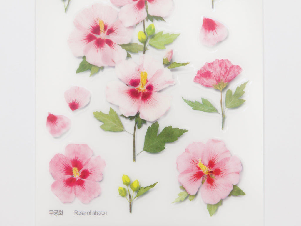 Appree Pressed Flower Stickers