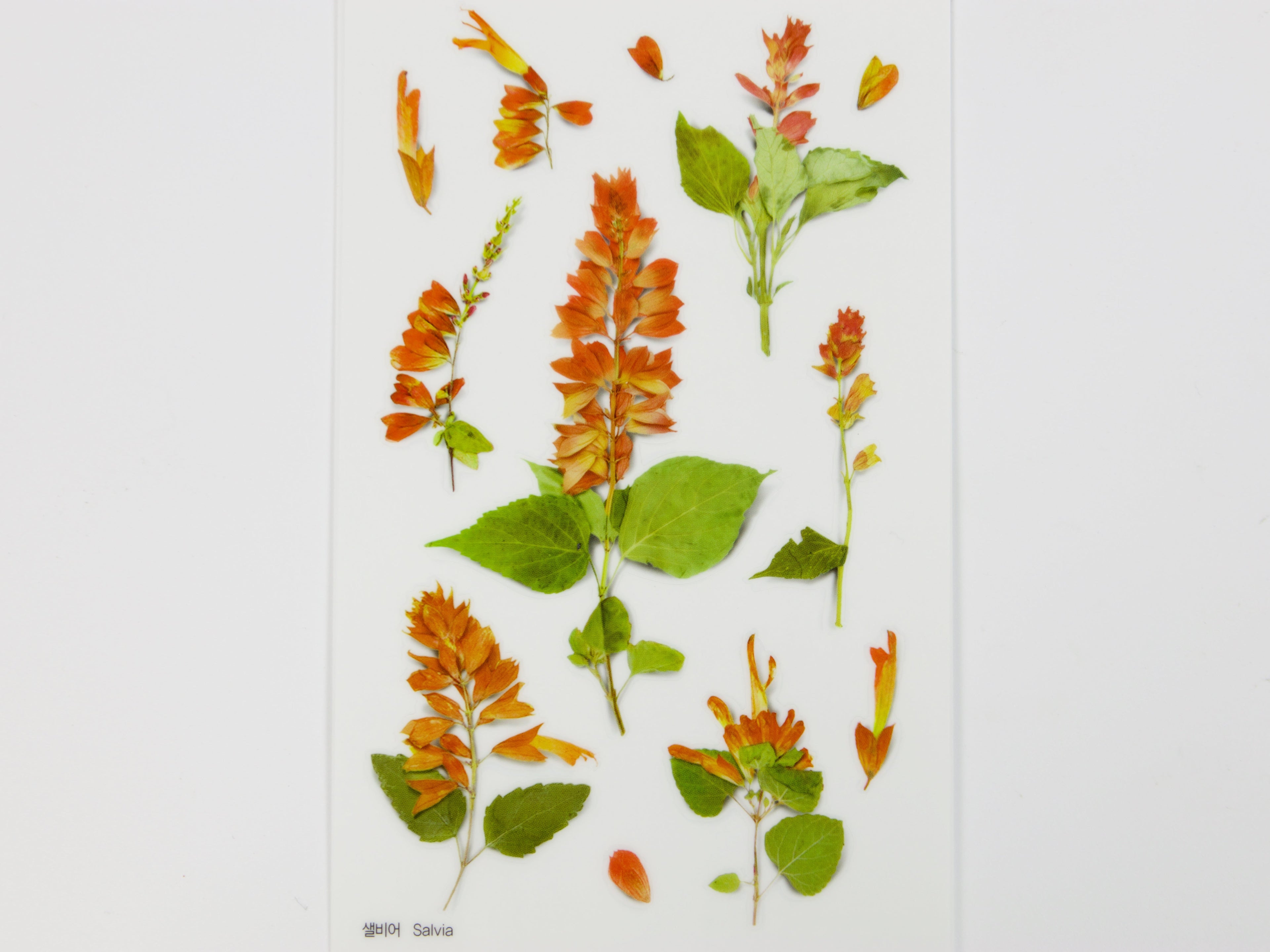 Appree Pressed Flower Stickers