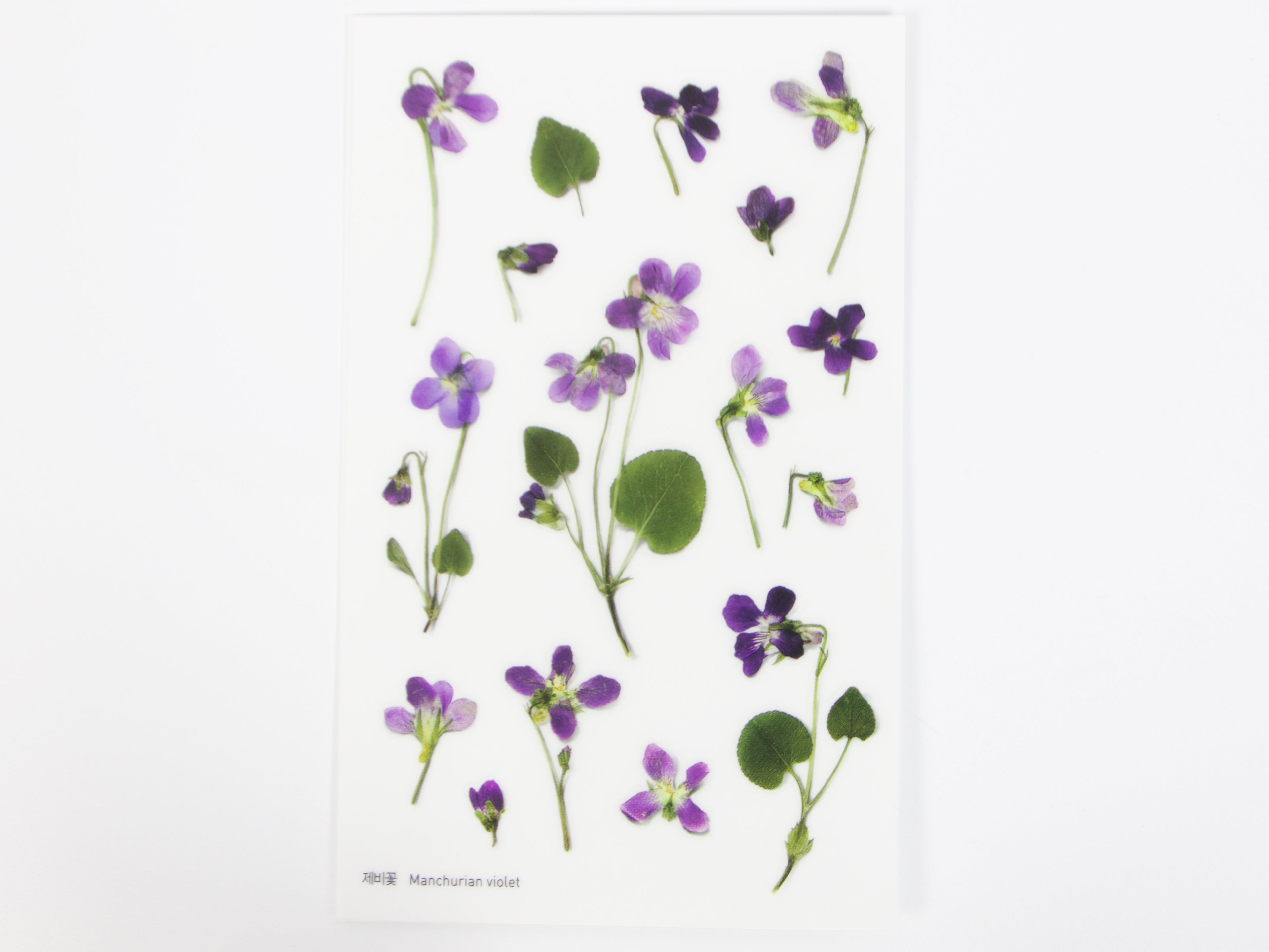 Appree Pressed Flower Stickers