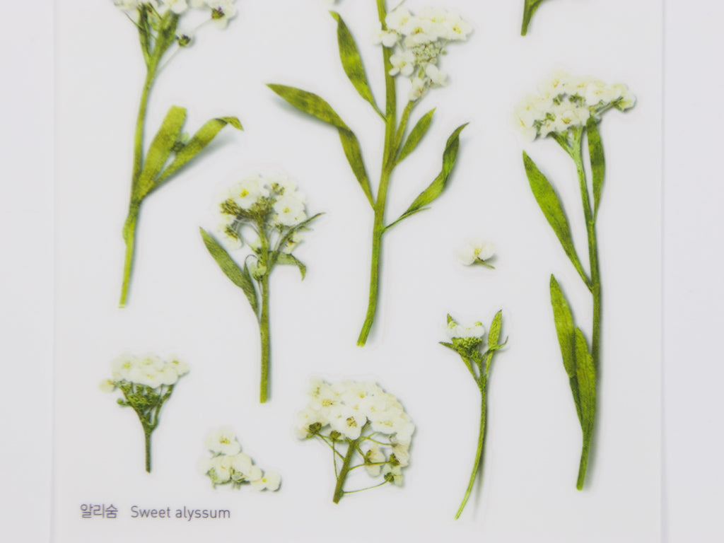 Appree Pressed Flower Stickers