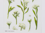 Appree Pressed Flower Stickers