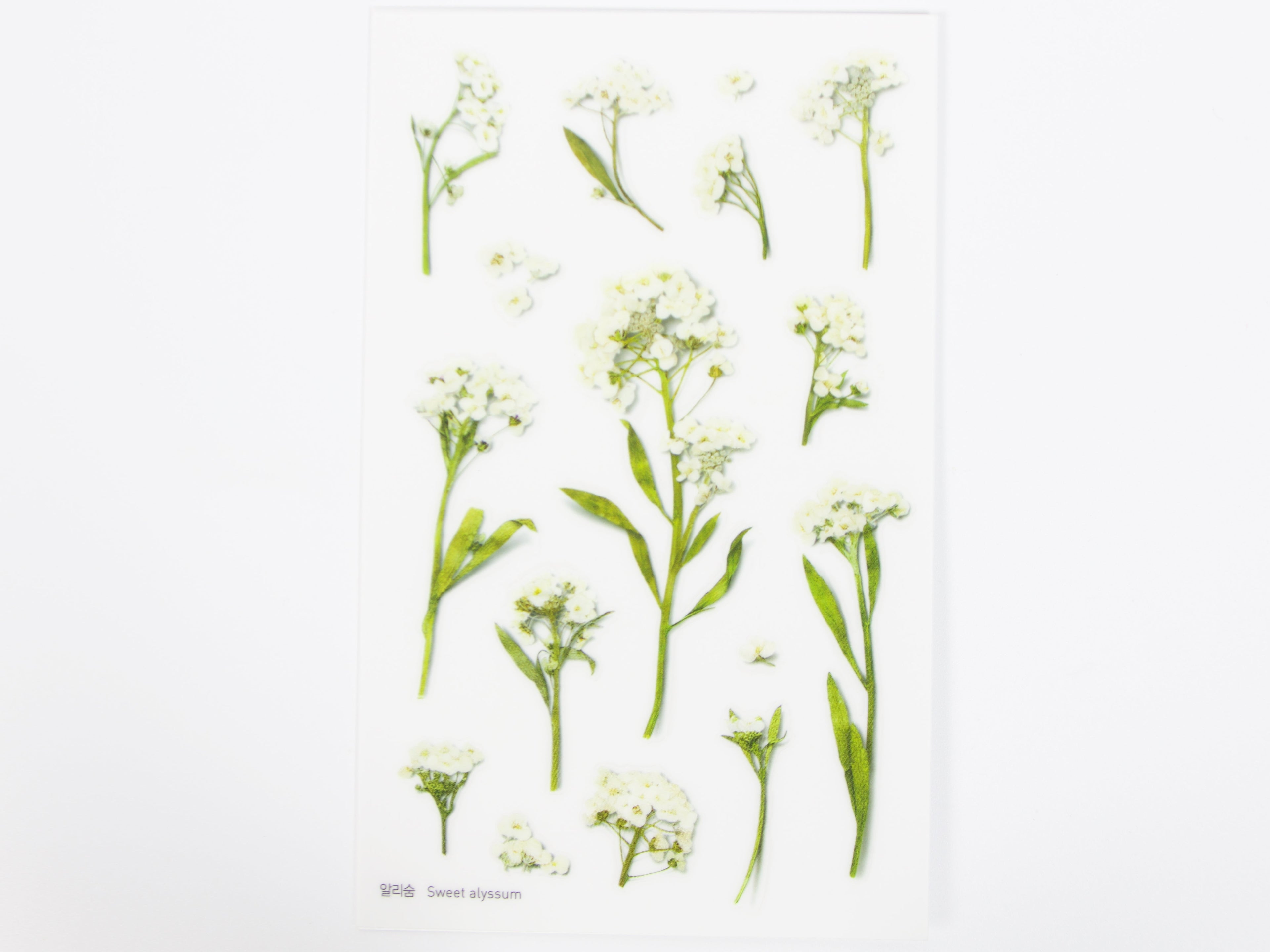 Appree Pressed Flower Stickers