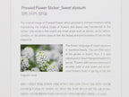 Appree Pressed Flower Stickers