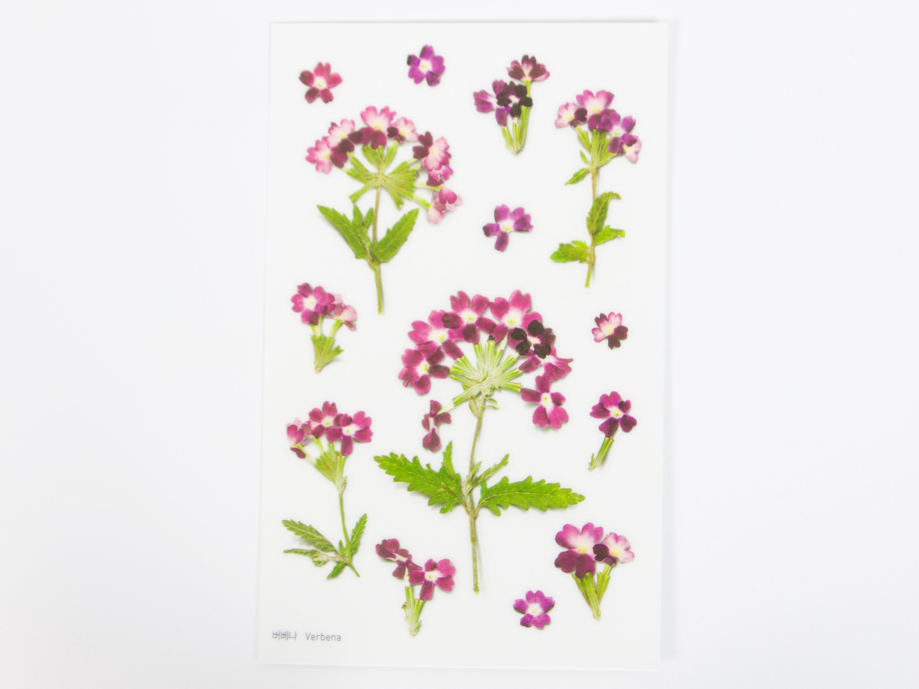 Appree Pressed Flower Stickers