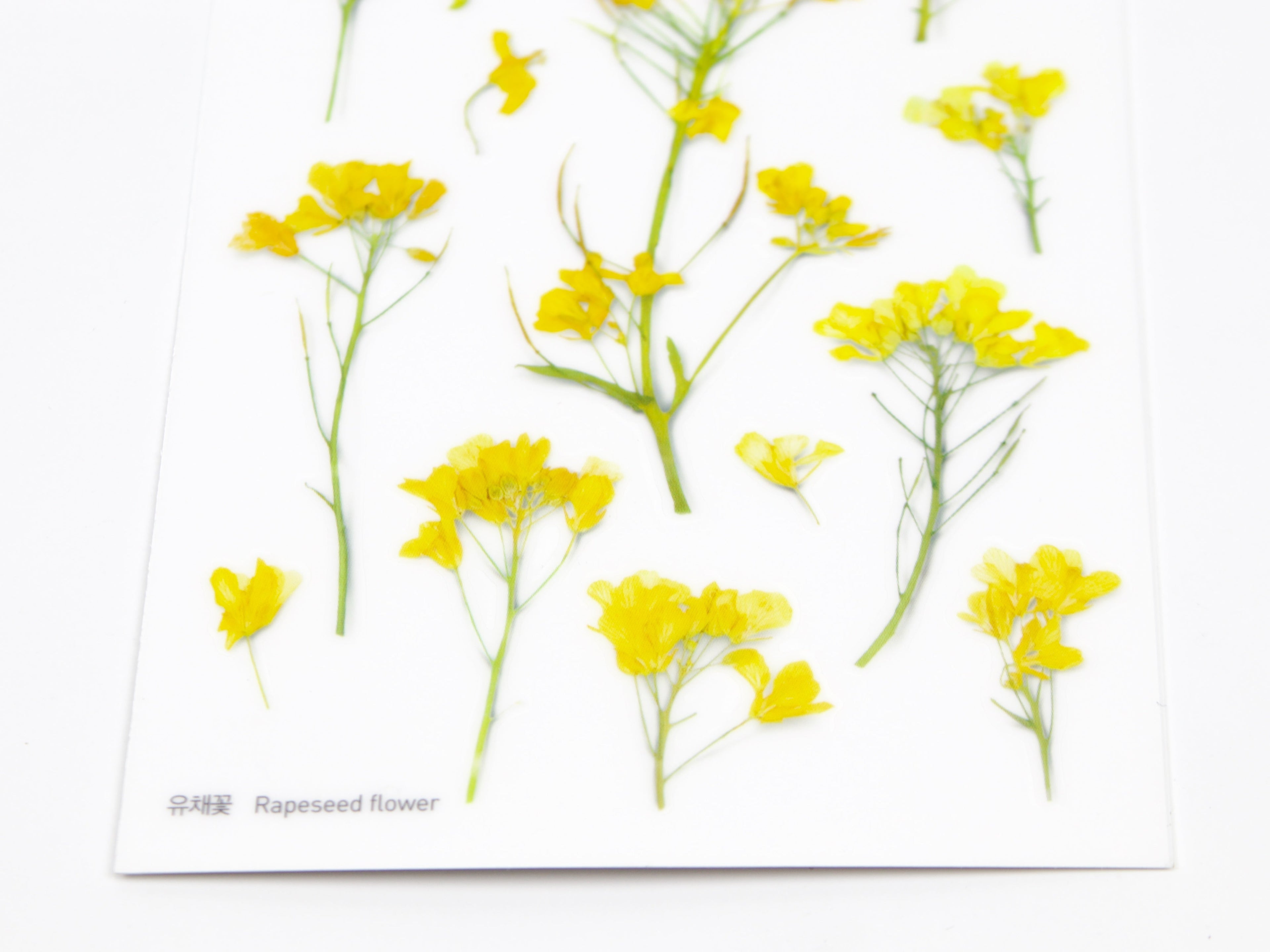 Appree Pressed Flower Stickers