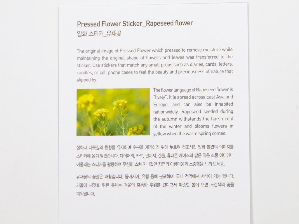 Appree Pressed Flower Stickers