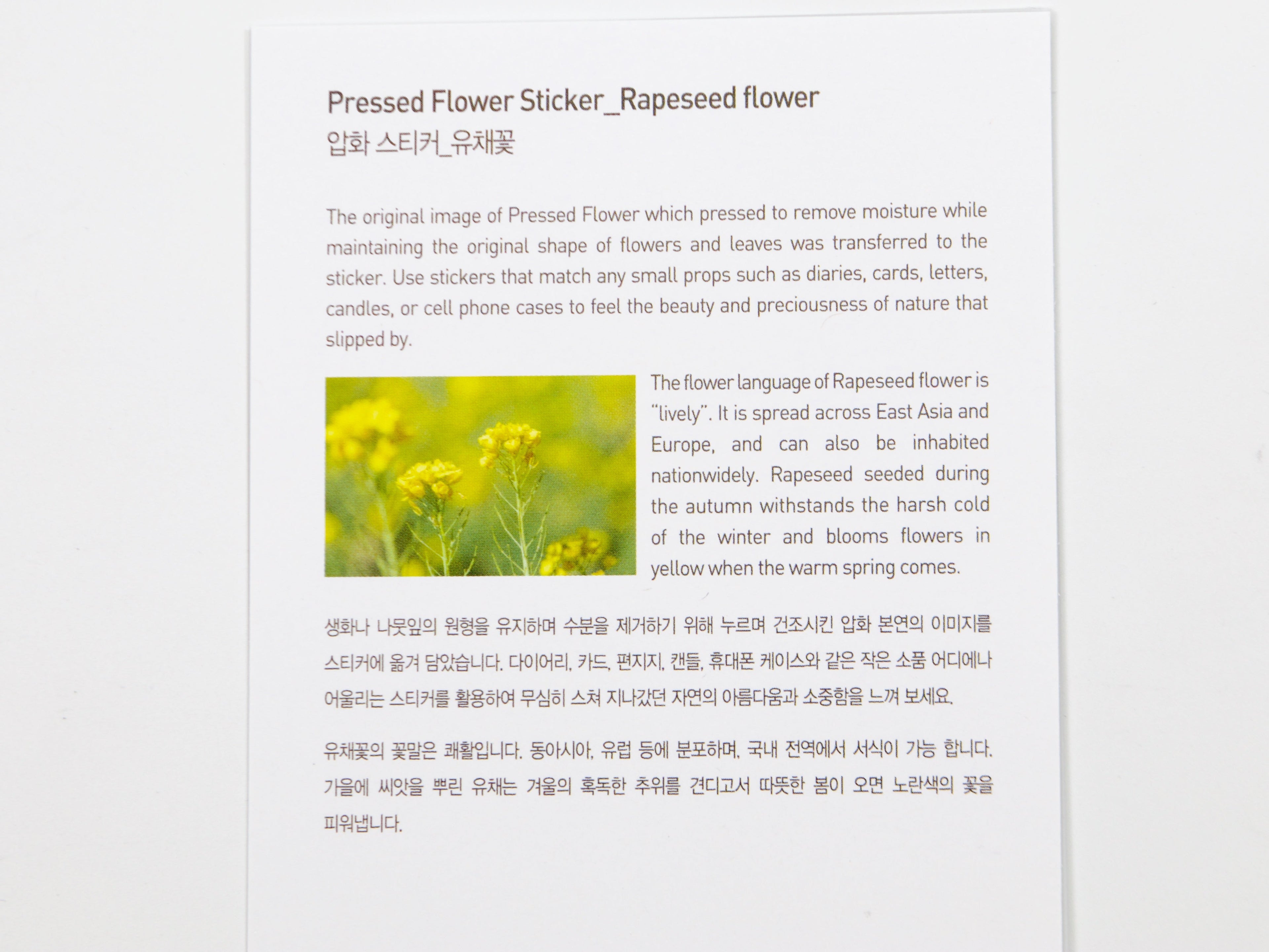 Appree Pressed Flower Stickers