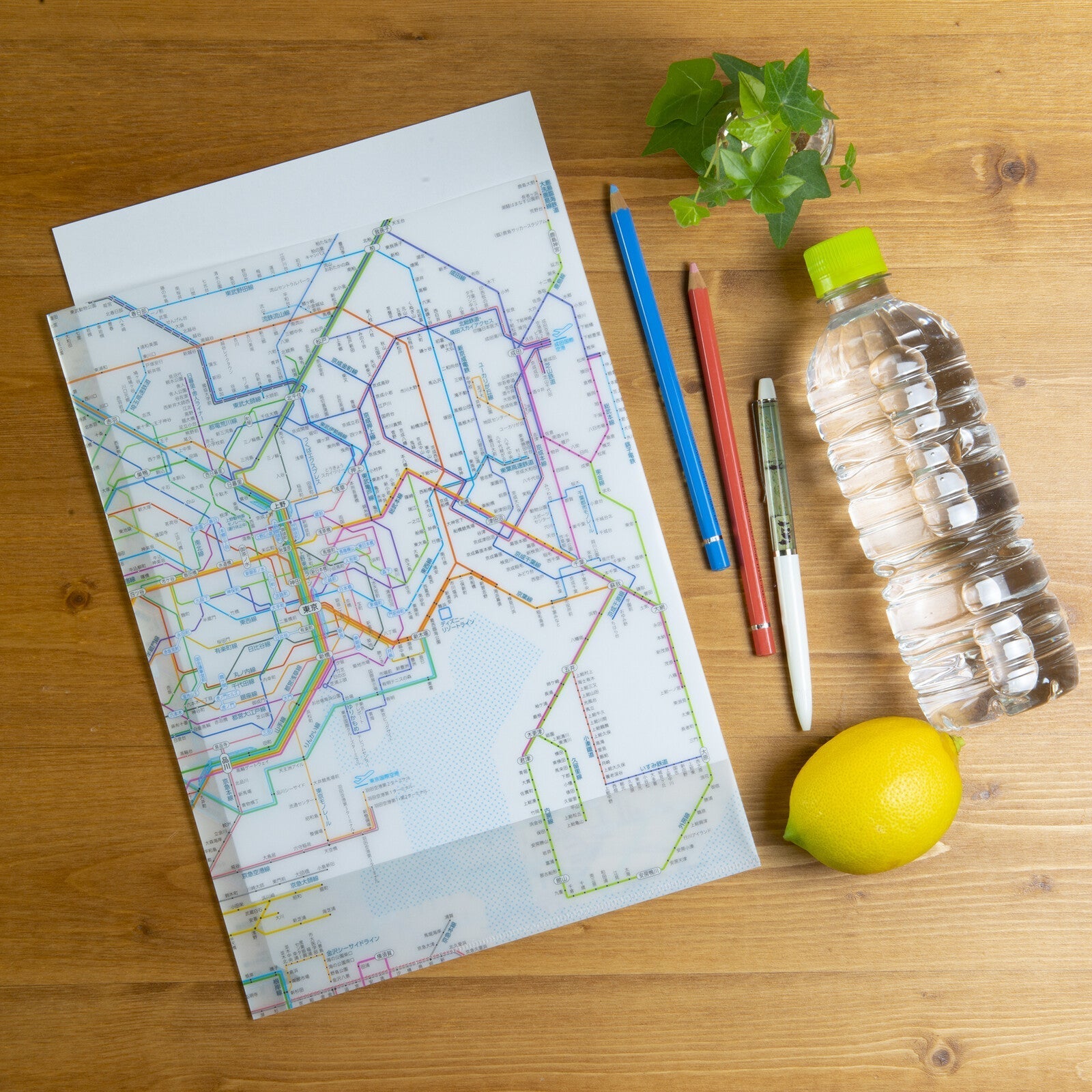 Railway Route Map Clear File Metropolitan Area / Tokyo Cartographic