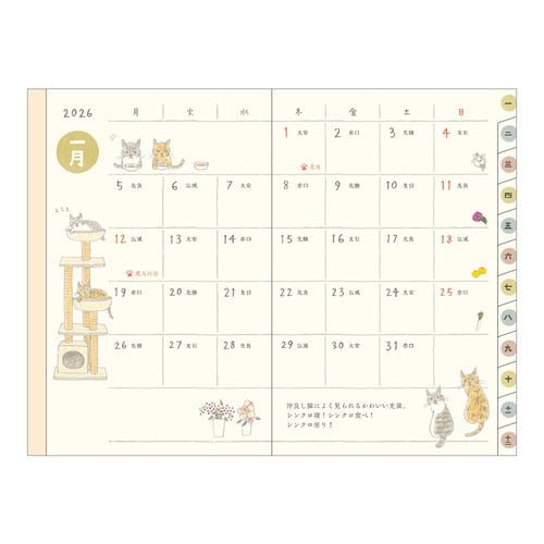 Sayo Koizumi Cat Pocket Diary 2026 / MIDORI