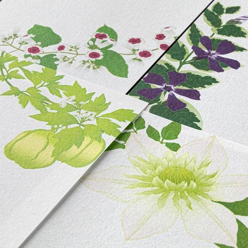 Seasons Silk-Print Envelope / MIDORI