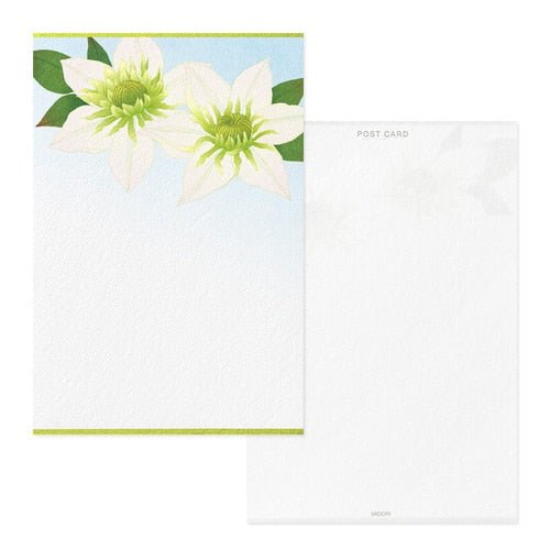 Seasons Summer Letter Postcard / MIDORI