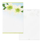 Seasons Summer Letter Postcard / MIDORI