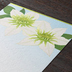 Seasons Summer Letter Postcard / MIDORI