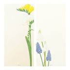 Seasons Silk-Print Envelope Letter Paper / MIDORI