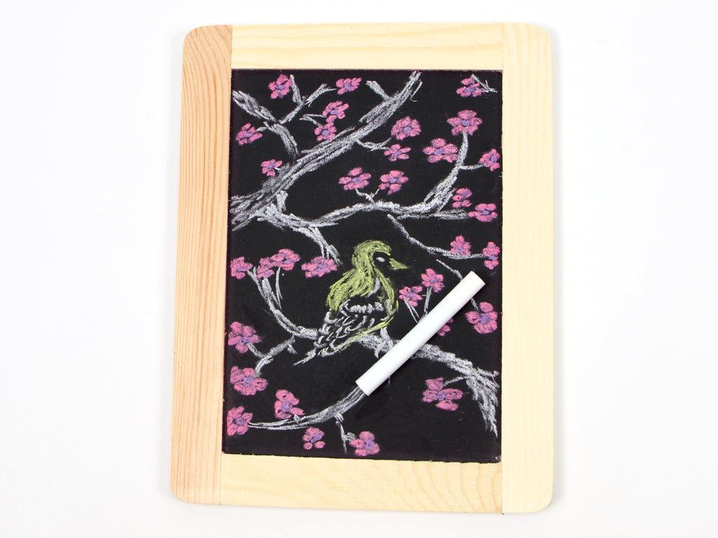 Rikagaku School Dustless Chalk Slim White Set