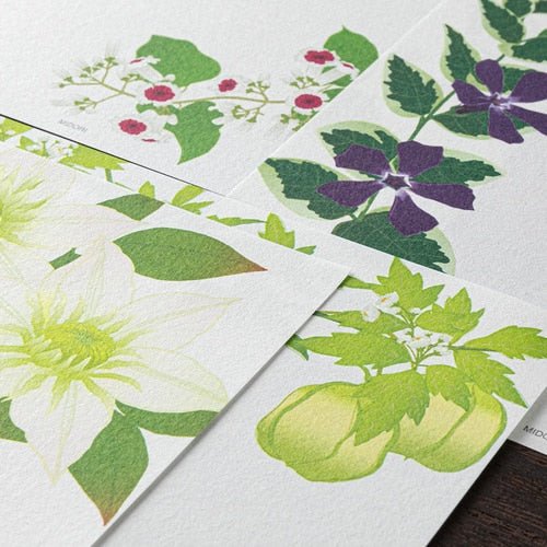 Letter Paper Pad / Midori
