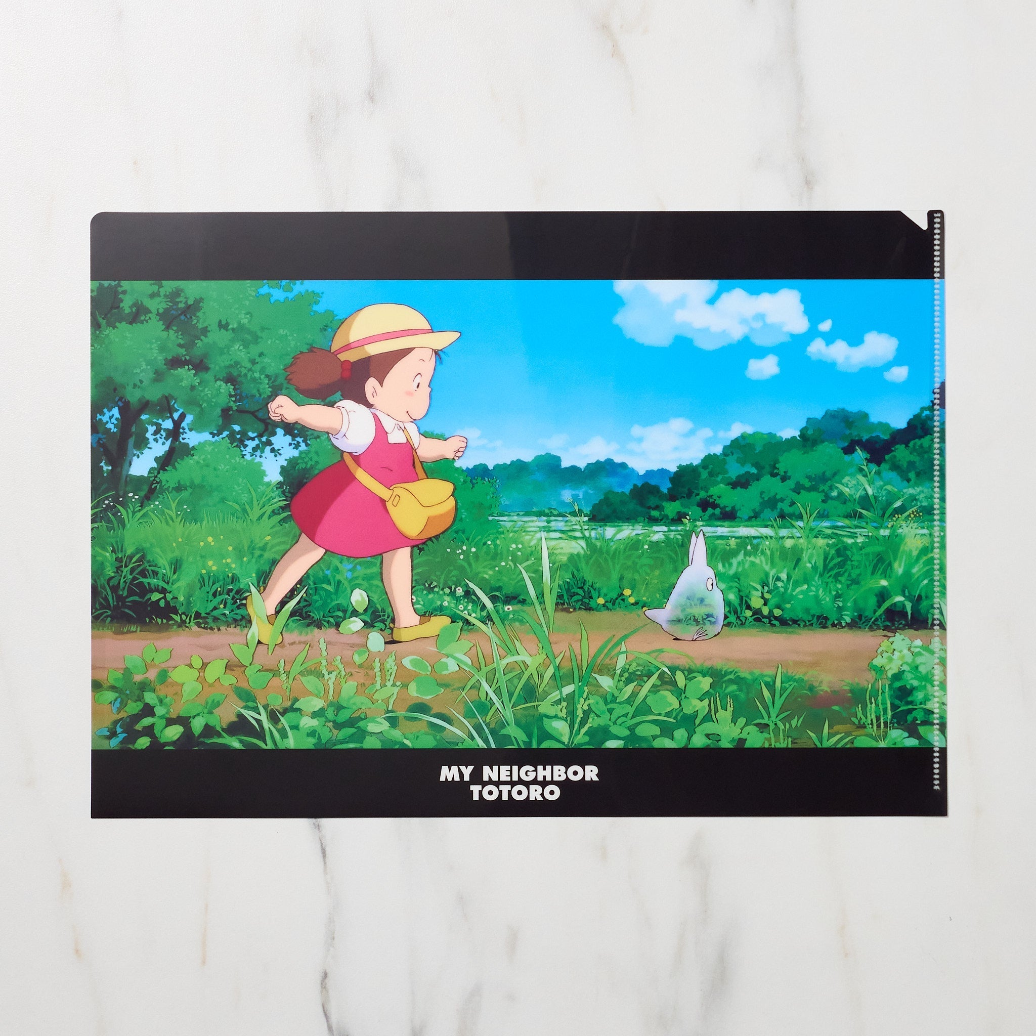 Studio Ghibli "My Neighbor Totoro" Scenes A4 Clear File Folder / Movic