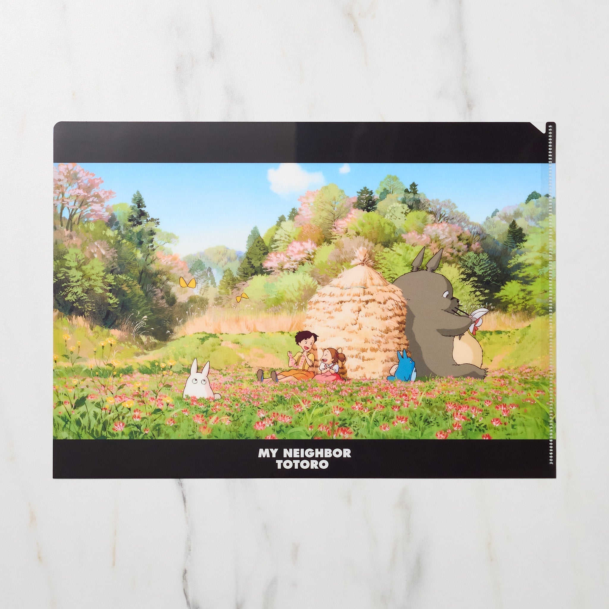 Studio Ghibli "My Neighbor Totoro" Scenes A4 Clear File Folder / Movic
