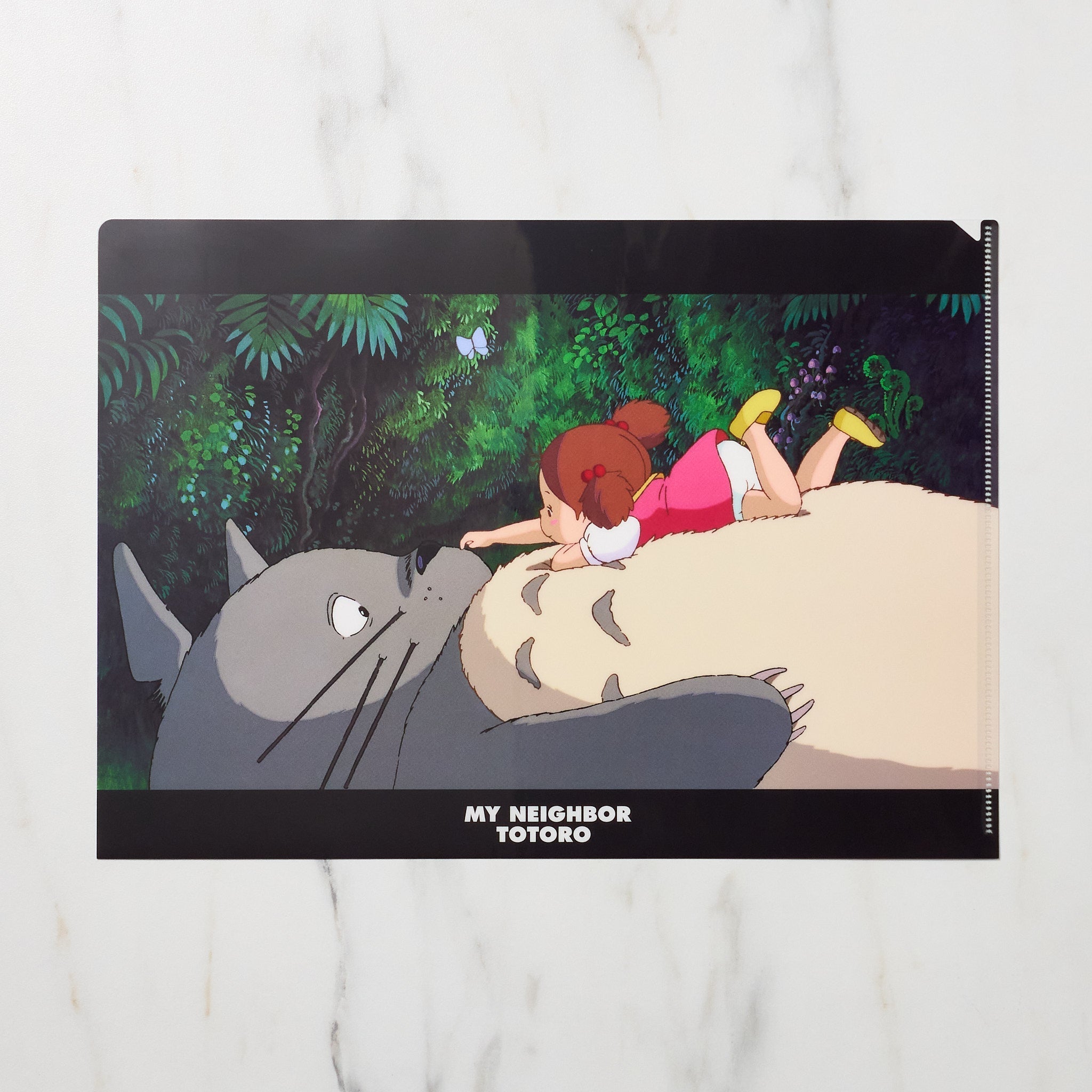 Studio Ghibli "My Neighbor Totoro" Scenes A4 Clear File Folder / Movic
