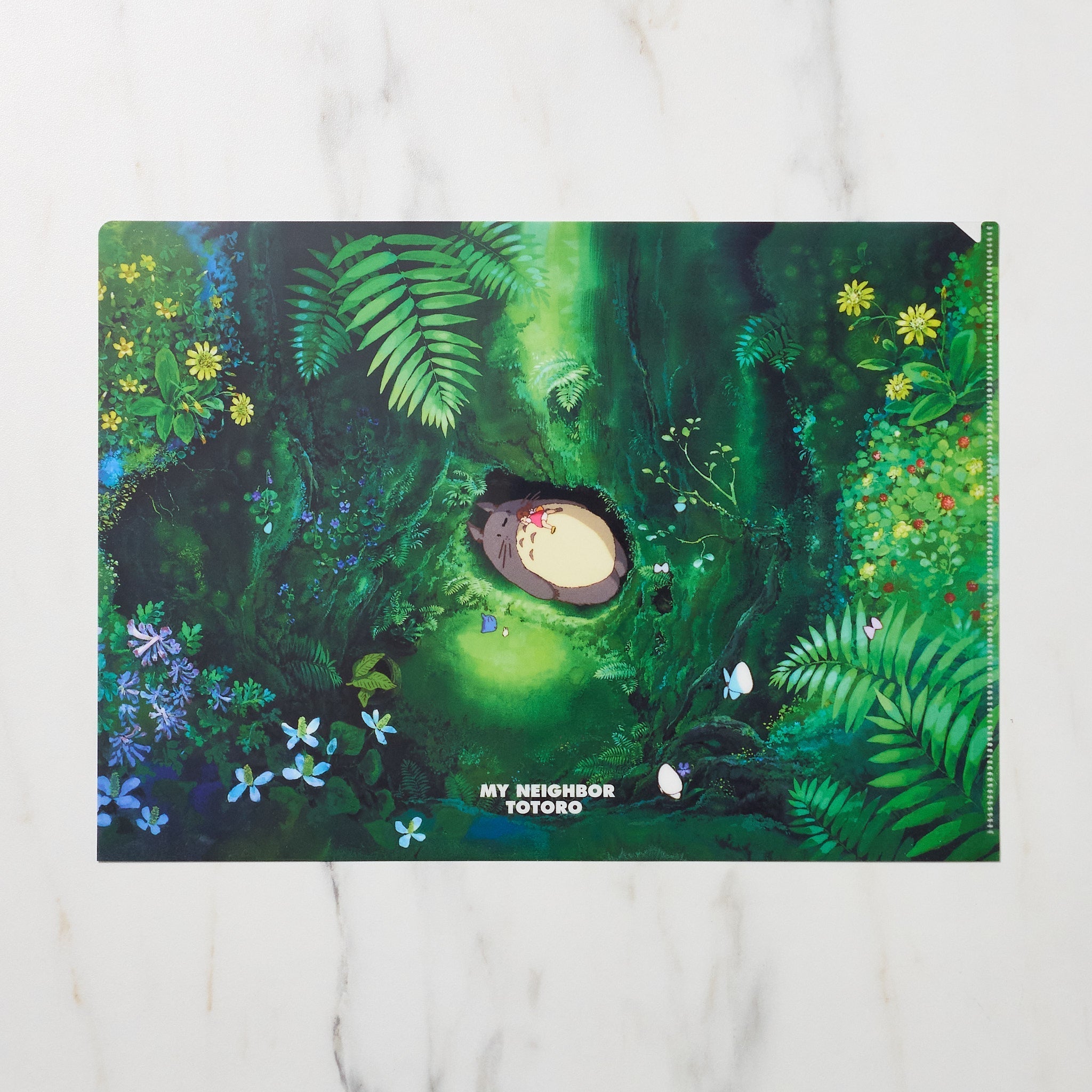 Studio Ghibli "My Neighbor Totoro" Scenes A4 Clear File Folder / Movic