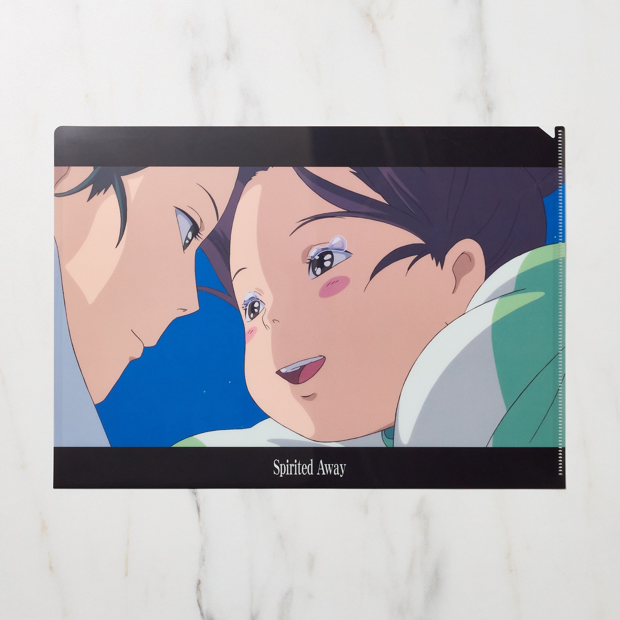Studio Ghibli "Spirited Away" Scenes A4 Clear File Folder / Movic