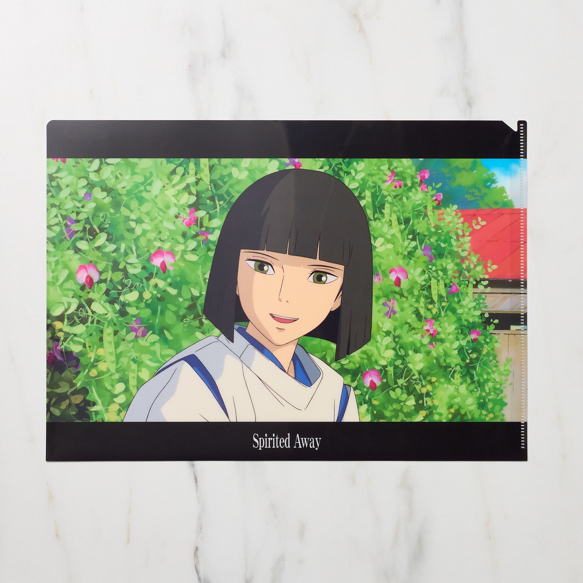 Studio Ghibli "Spirited Away" Scenes A4 Clear File Folder / Movic